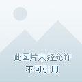大明星的贴身高手