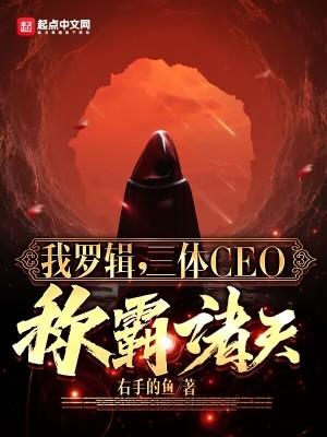 三体CEO