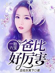 一胎六宝爸比好厉害电视剧