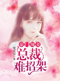 豪门辣妻不好惹免费阅读下拉式六