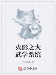 火影之武器系统