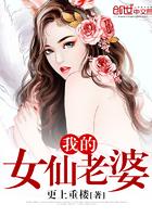 我的仙女老婆沈浪