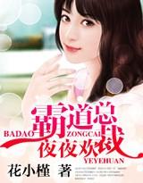 霸道总裁夜夜欢百度