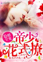 隐婚独宠帝少的天才娇妻玫瑰花花