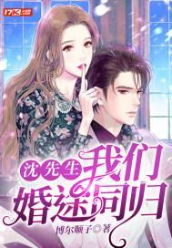 沈先生我们离婚吧名字