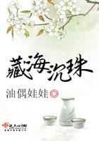 藏海什么意思